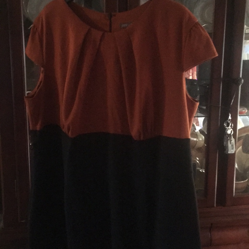 Black and brown dress